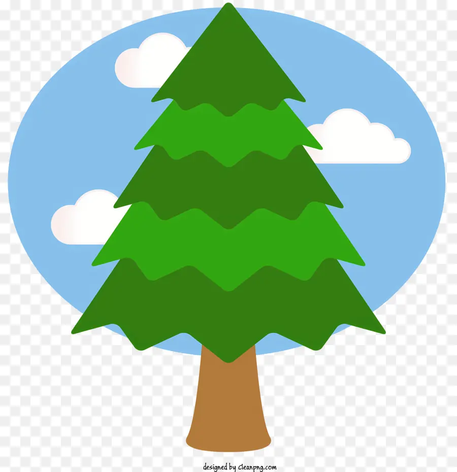 Cedro，Árbol PNG