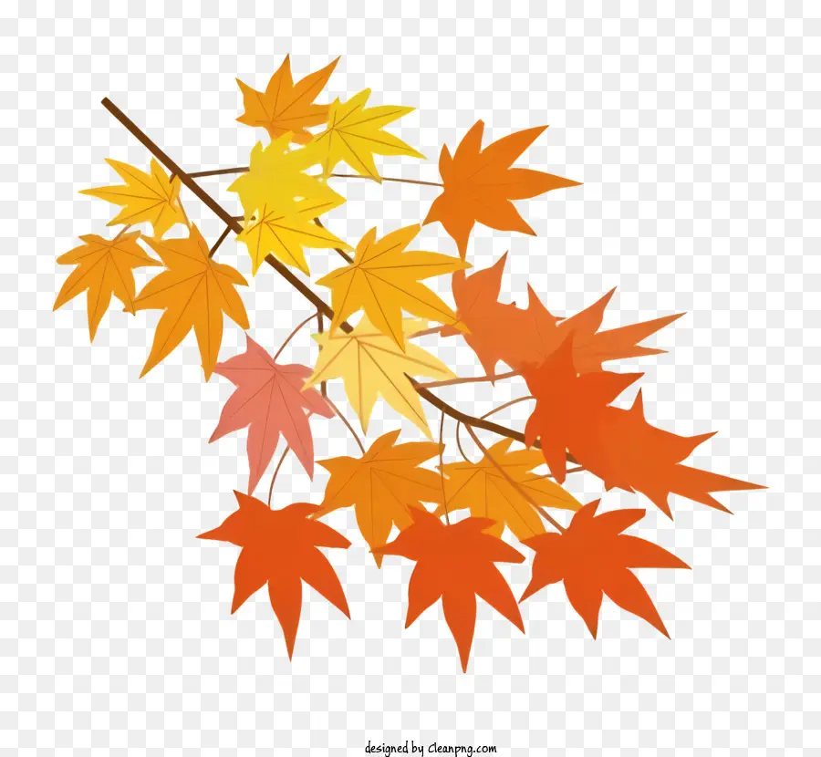 Hojas De Otoño，Árbol PNG