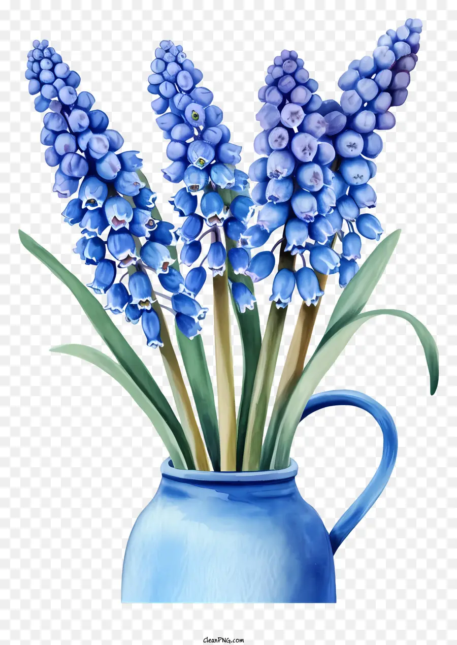 Jacinto De Uva Dibujado A Mano，Florero PNG