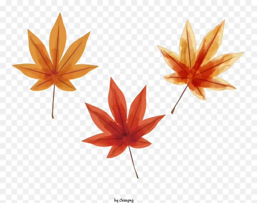 Autumn Leaves，Hojas PNG