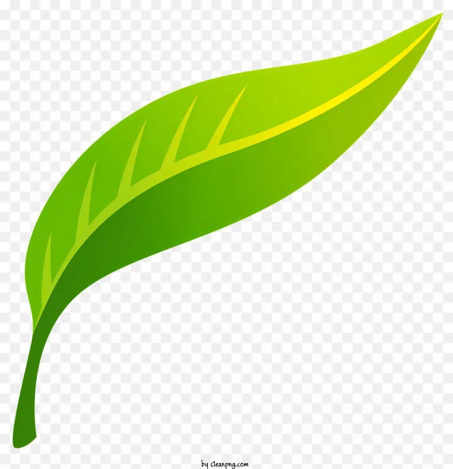 Hoja De Té，Verde Hoja PNG