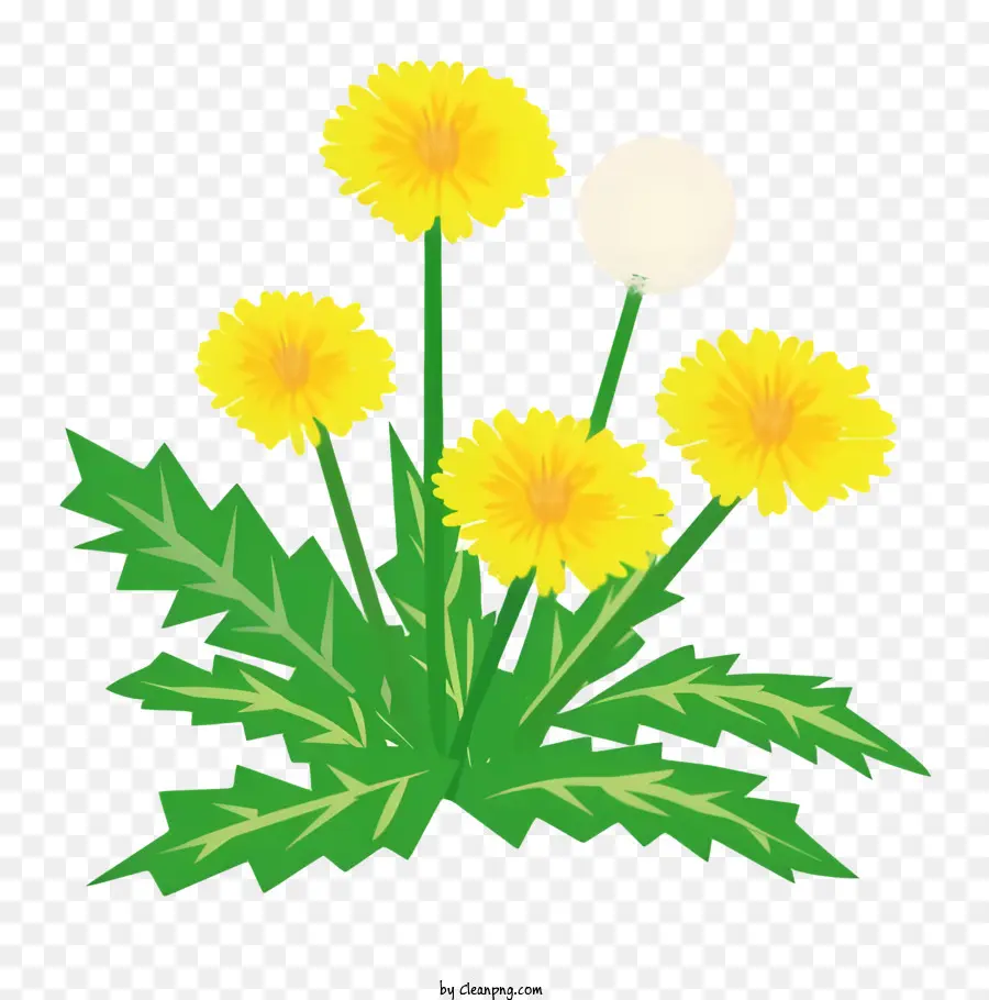 Flor，Diente De León Amarillo PNG