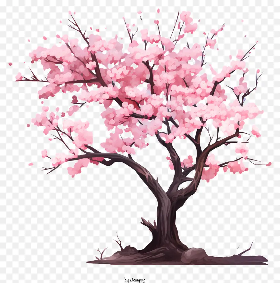 árbol De Flor De Cerezo Pastel，Flor De Cerezo PNG