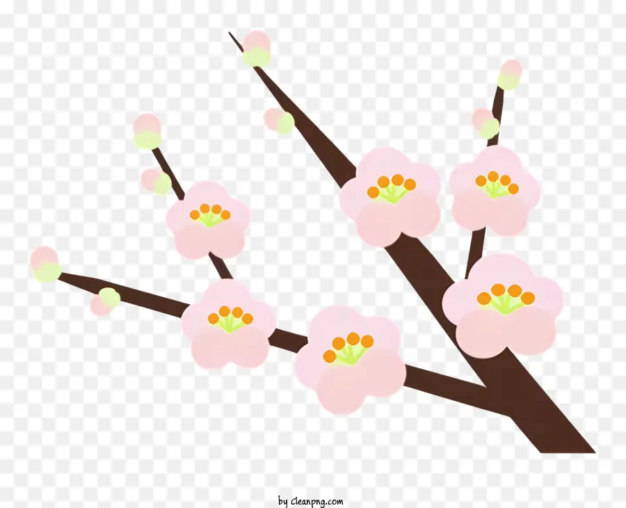 Flor，árbol De Cerezo PNG