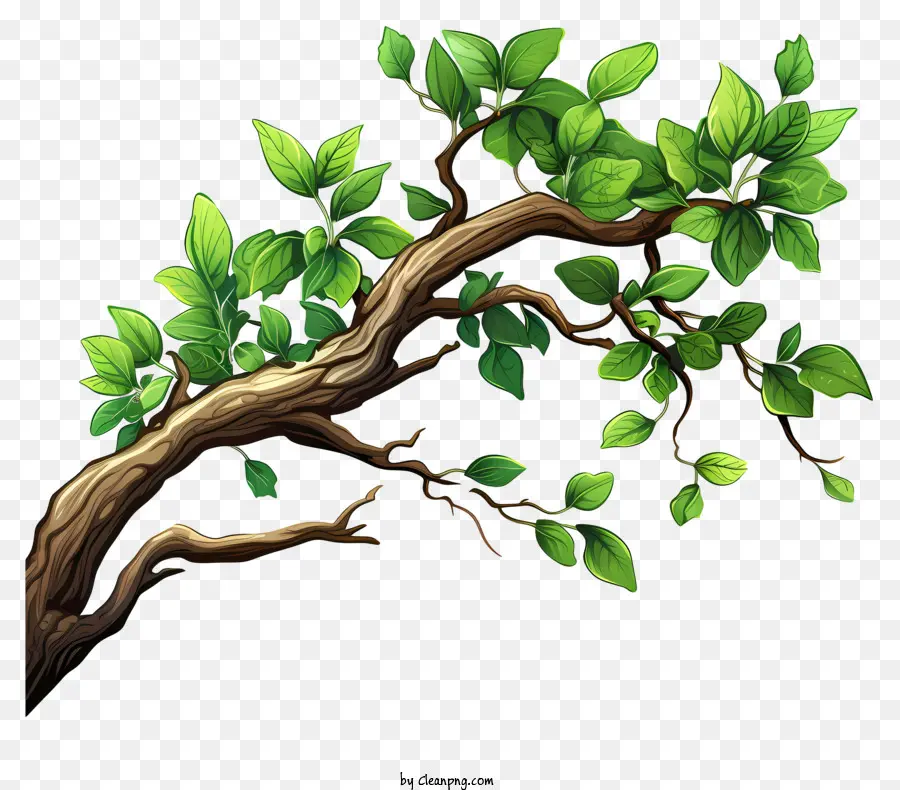 Rama De árbol Plano，Rama De árbol Verde PNG
