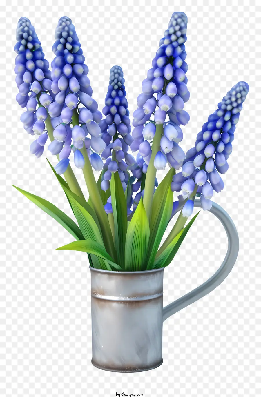Jacinto De Uva 3d Realista，Flores De Jacinto Azul PNG