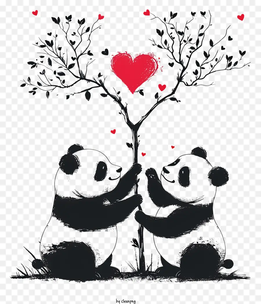 Panda De San Valentín，Panda Bears PNG