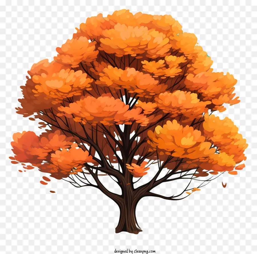 árbol De Otoño Estilo Boceto，Árbol PNG