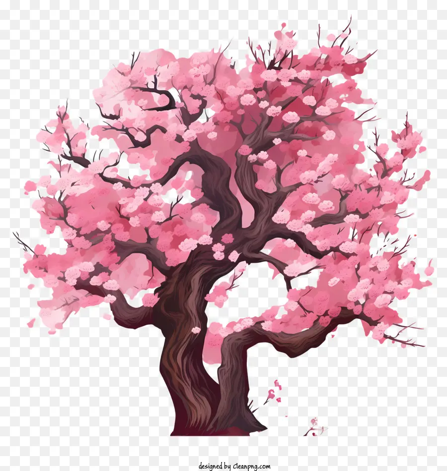 árbol De Cerezo Dibujado A Mano，Árbol PNG