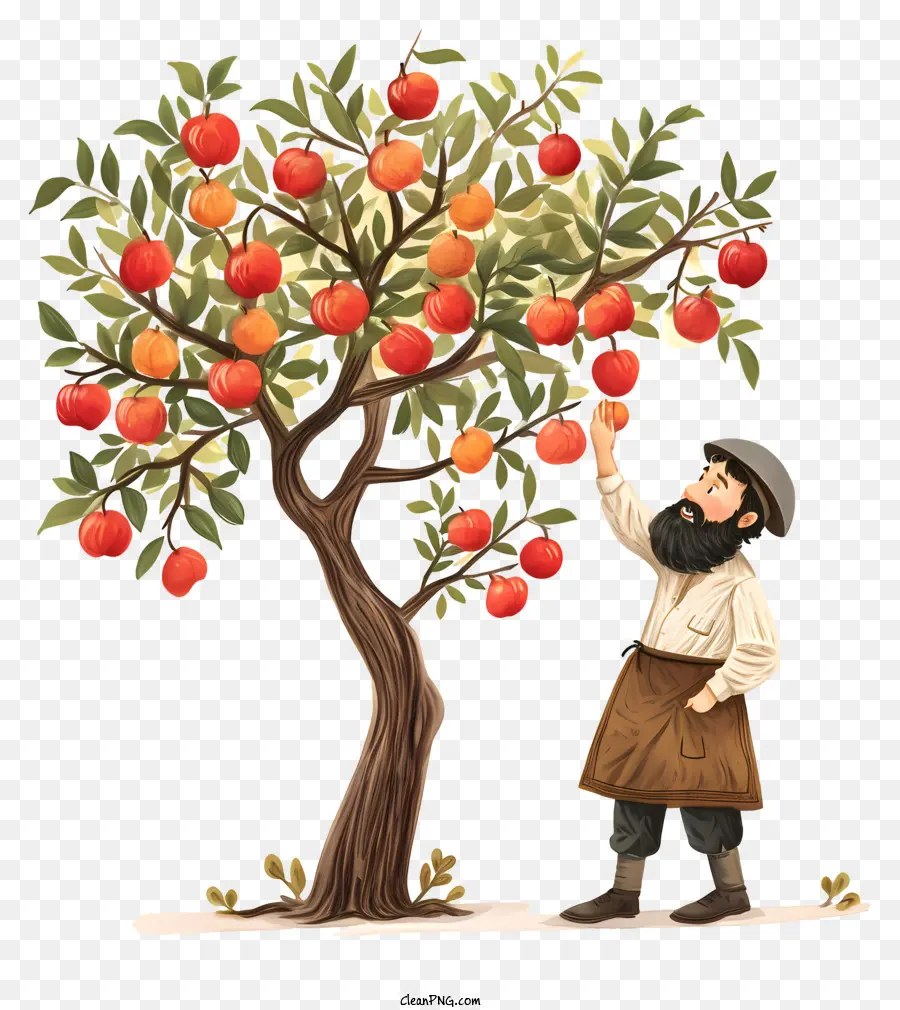 Hombre Recogiendo Manzanas，árbol De Manzana PNG