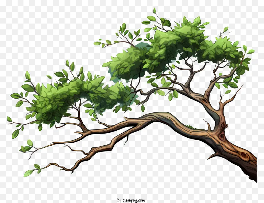 Rama De árbol Plano，árbol Verde PNG