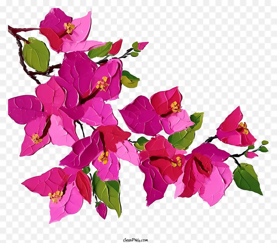Pintura De Bougainvillea，Flores De Color Rosa PNG