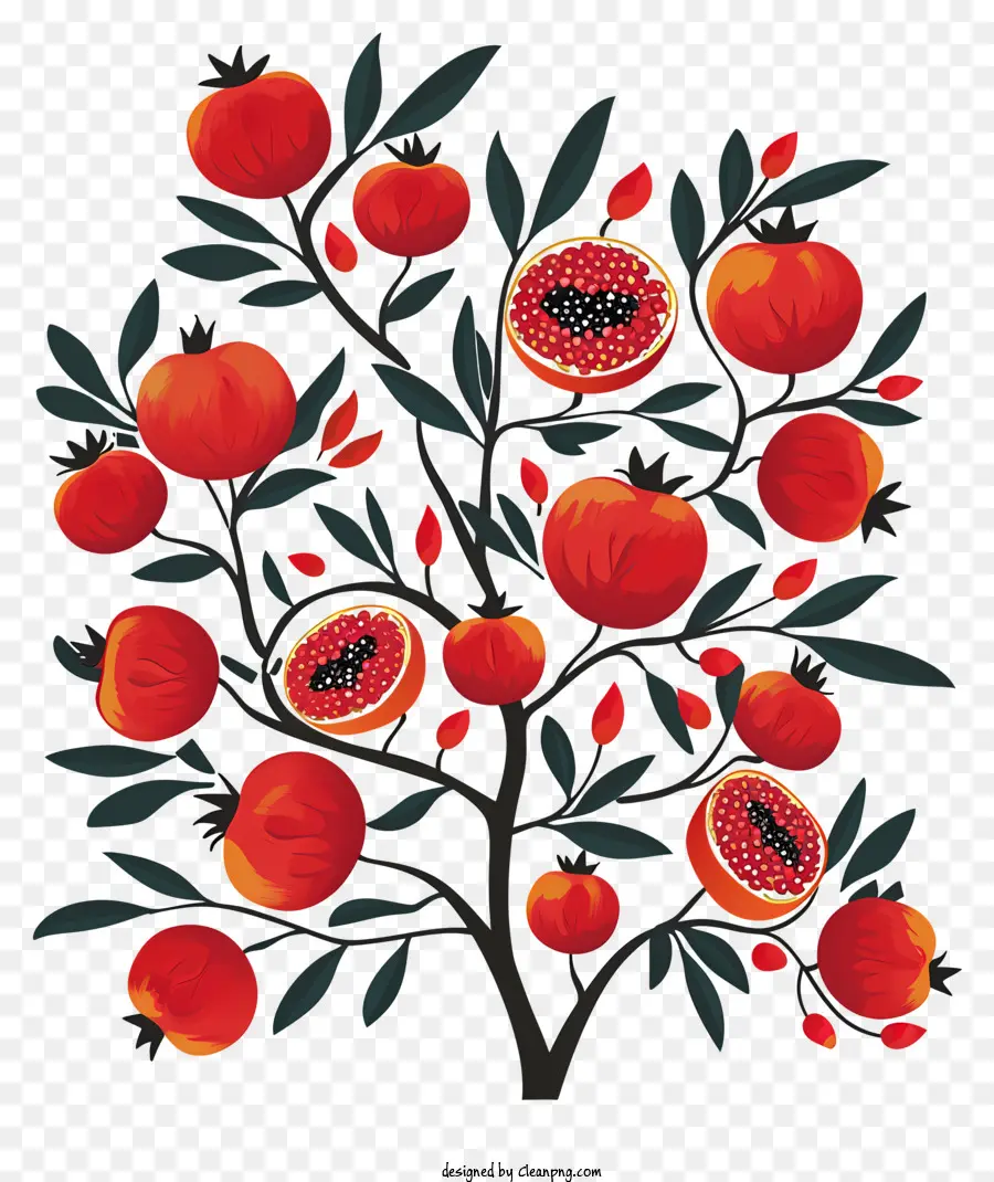 árbol De La Granada，Frutas Maduras PNG