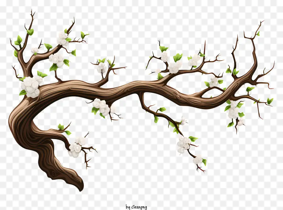 Rama De árbol Estilo Boceto，Rama De árbol PNG