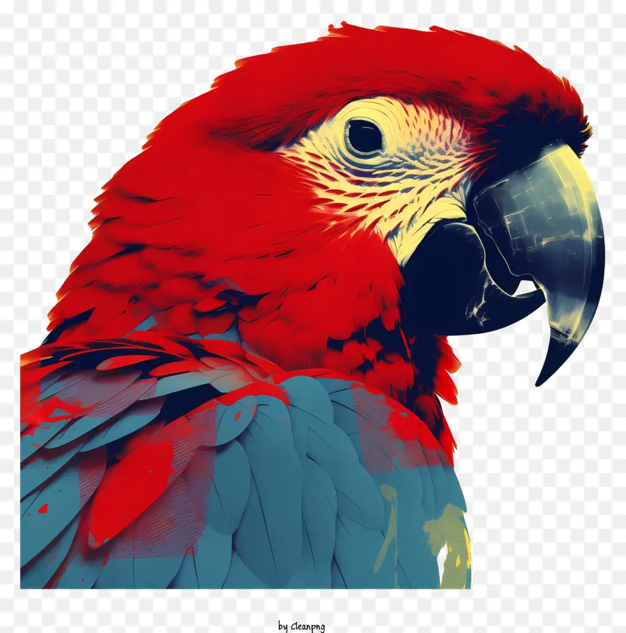 Loro，Loro Rojo Y Azul PNG