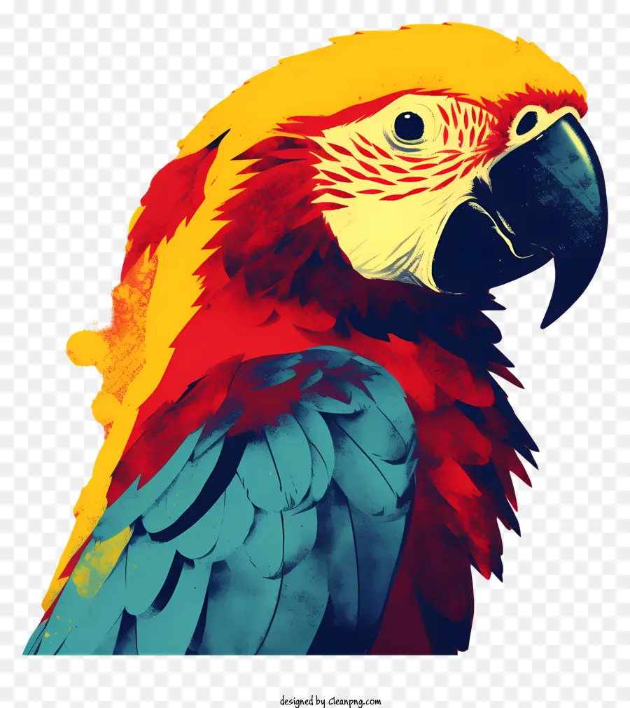 Loro，Parrot Pintura PNG