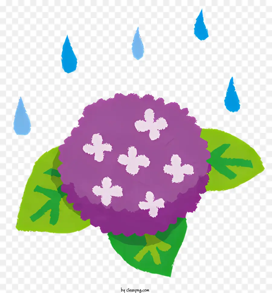 Lloviendo，Hortensia Con Gotas De Lluvia PNG