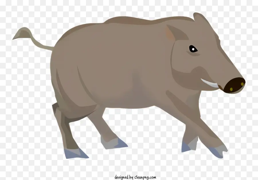 Animal，Pequeño PNG