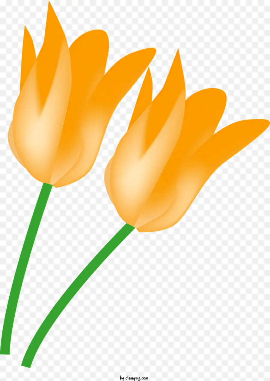 Naranja Tulipanes，Diseño De Tulipán Estilizado PNG