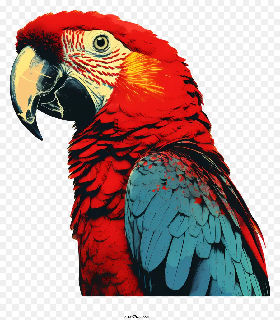 Loro，Loro Rojo Y Azul PNG