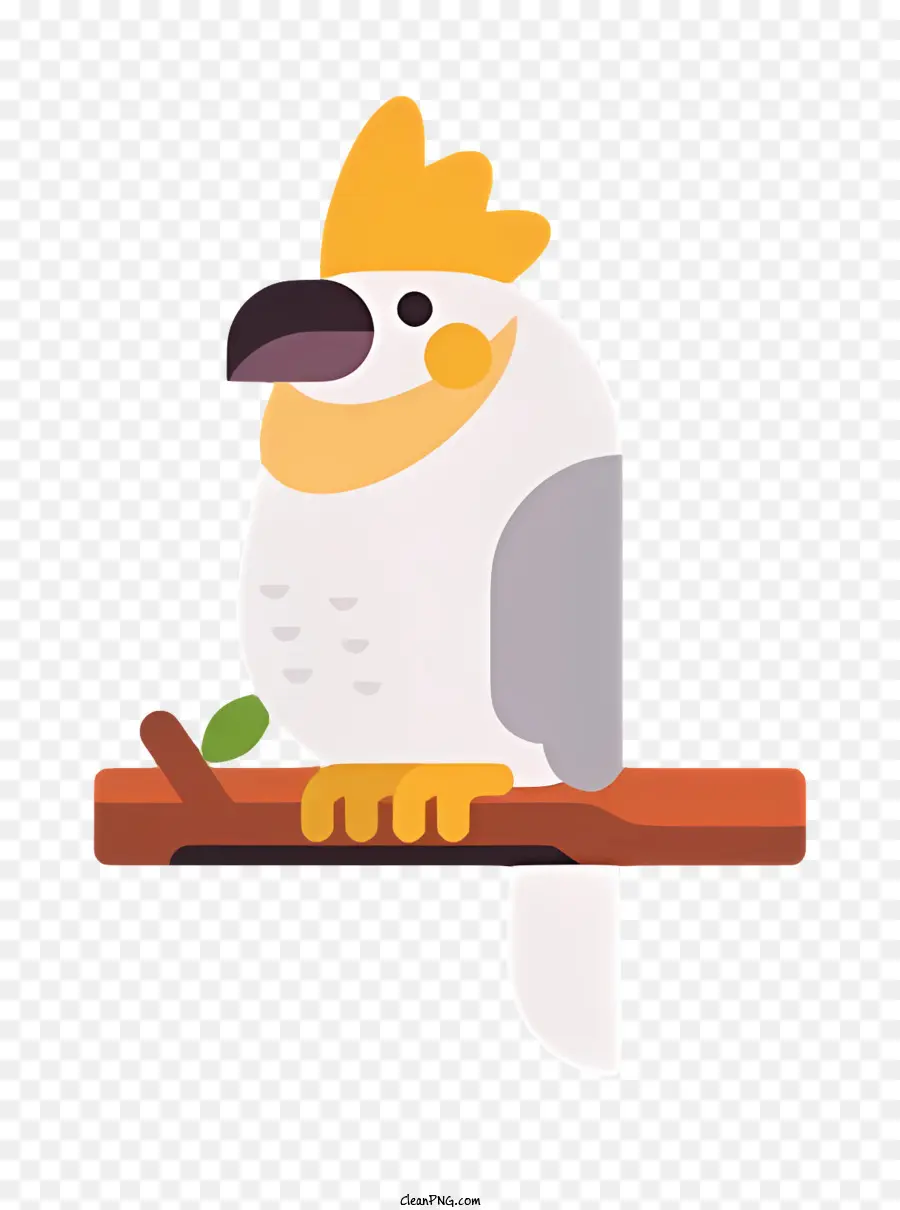 Loro De Pájaros，Aves PNG