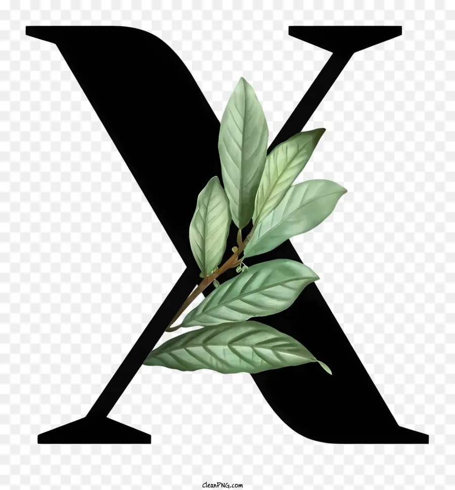 X Logo，Verde Hoja PNG