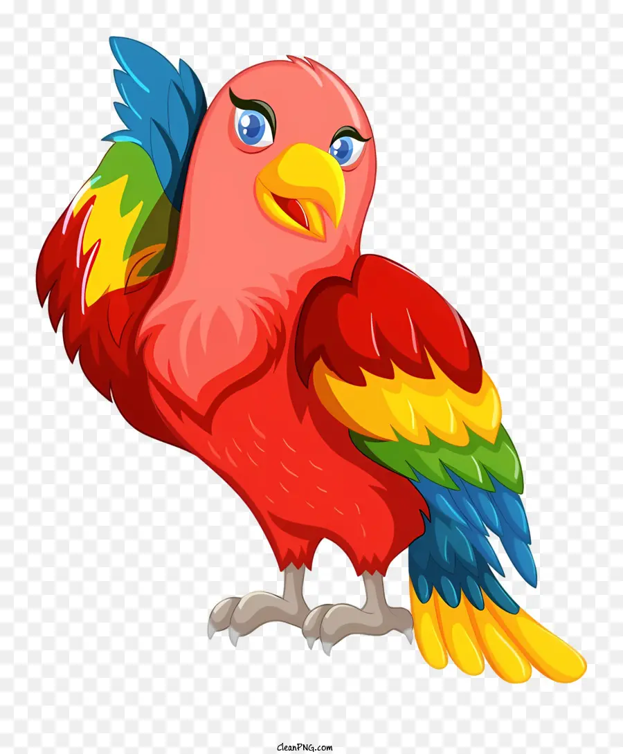 Loro De Pájaros，Loro Colorido PNG