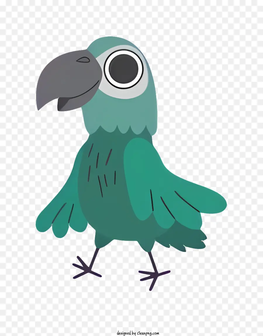 Loro De Pájaros，Loro Verde PNG