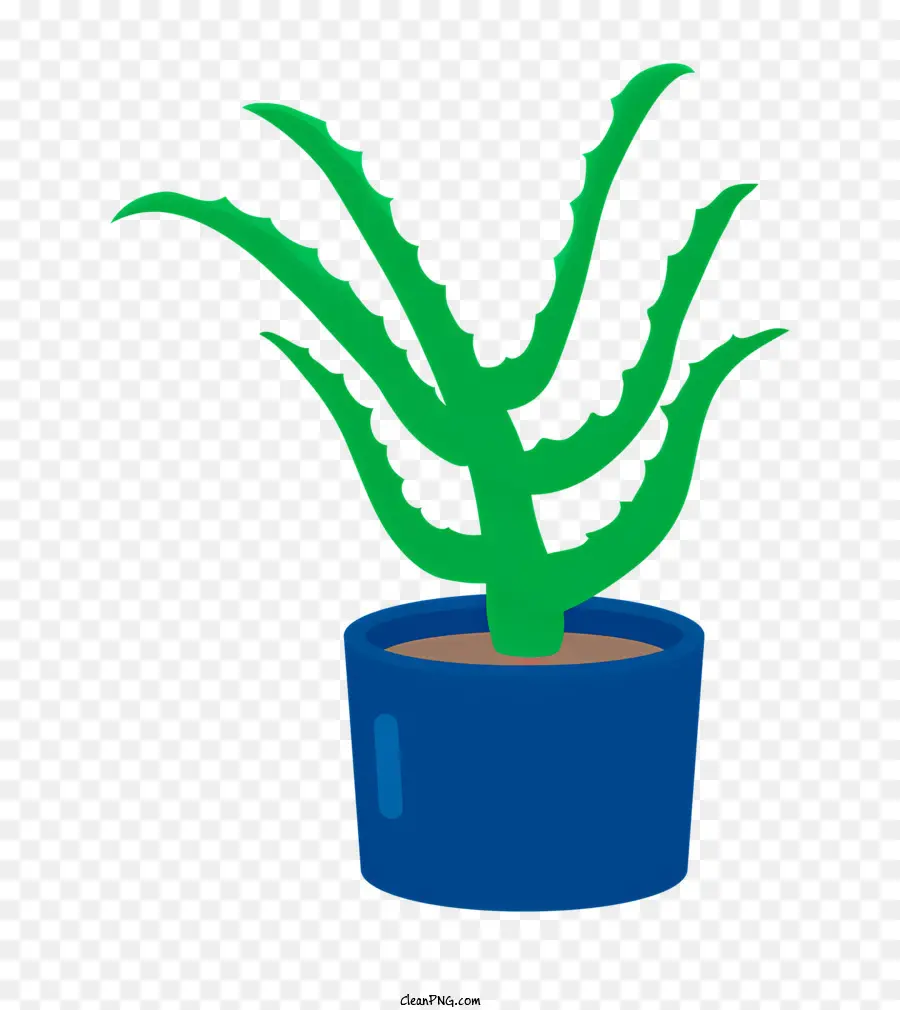 El Aloe Vera Plant，Planta De Interior PNG