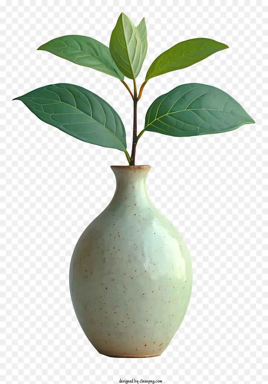 Florero，Jpg PNG