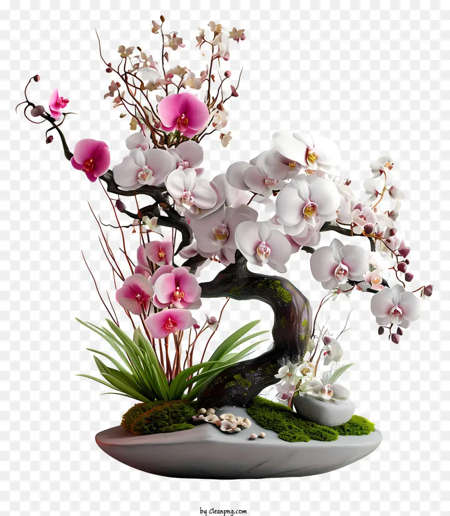 Arreglo Floral Zen，Orquídeas PNG