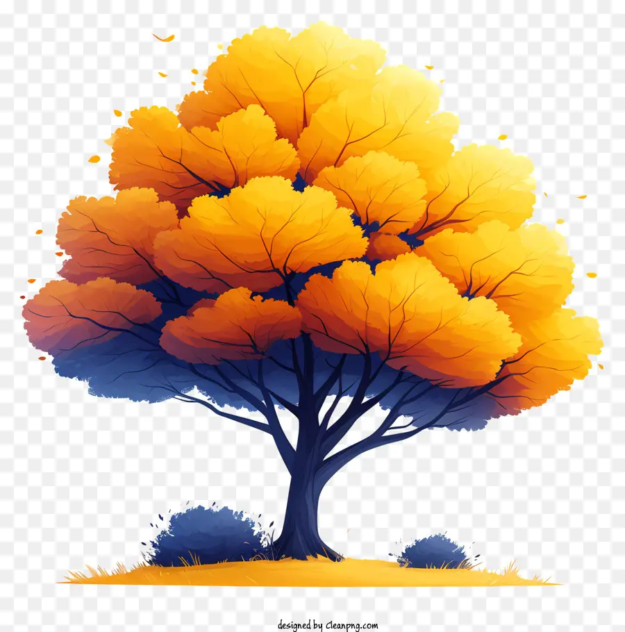 árbol De Otoño，árbol Colorido PNG