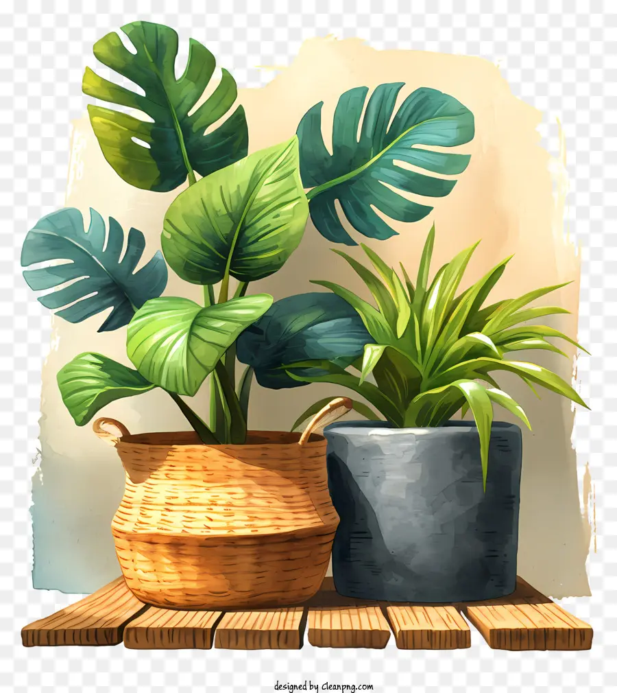 Planta，Las Plantas En Maceta PNG