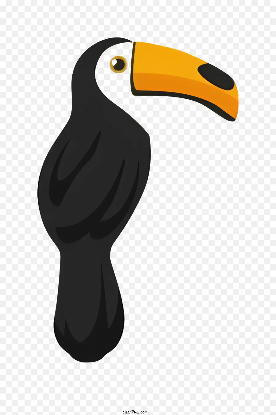 Loro Pájaro，Tucán PNG