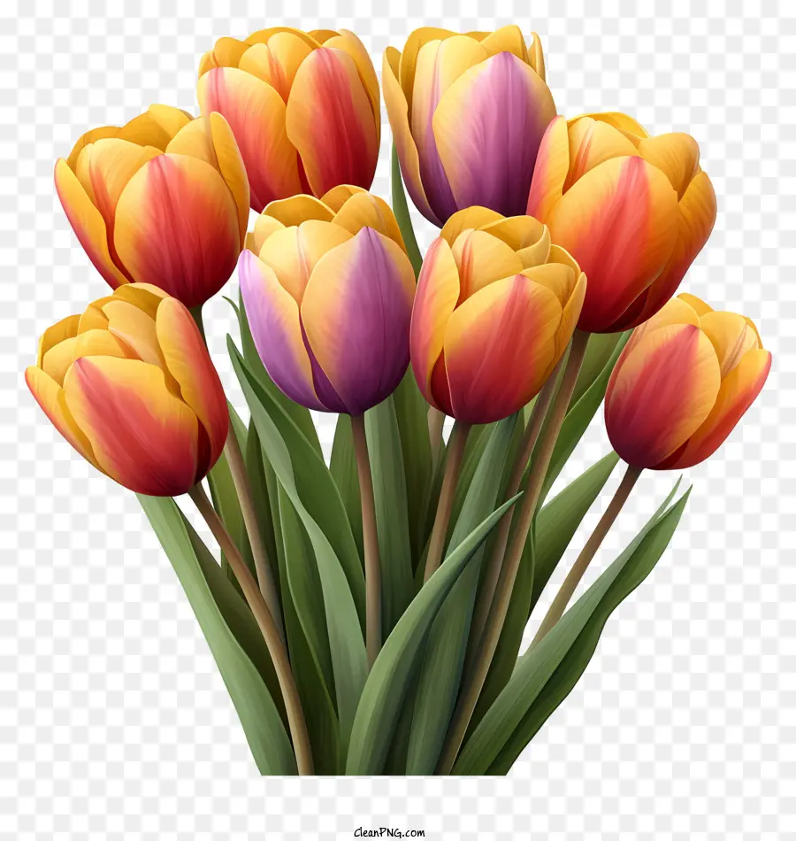 Bouquet De Tulipanes De Acuarela，Tulip Bouquet PNG