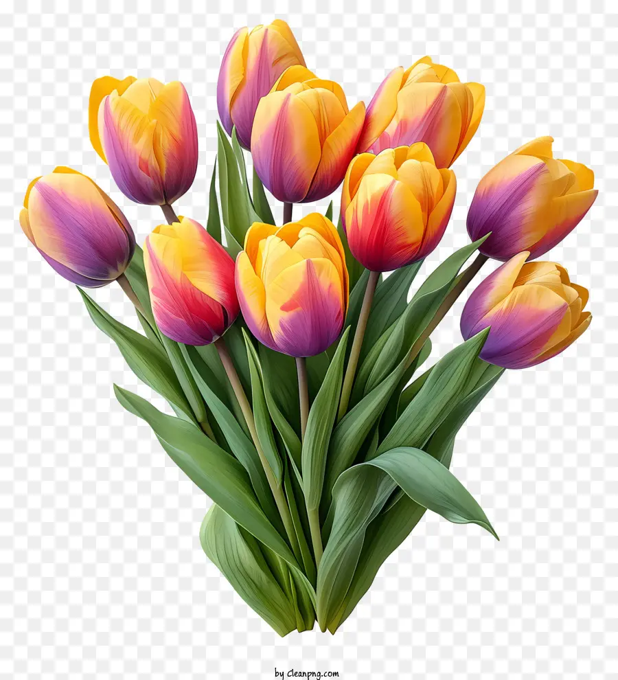 Bouquet De Tulipanes De Acuarela，Los Tulipanes PNG