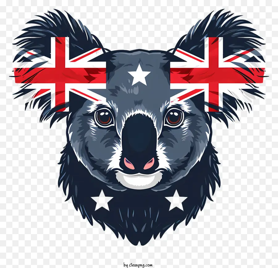 Día De Australia，Koala PNG