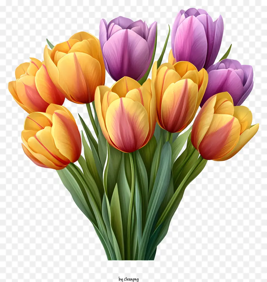 Bouquet De Tulipanes De Acuarela，Los Tulipanes PNG