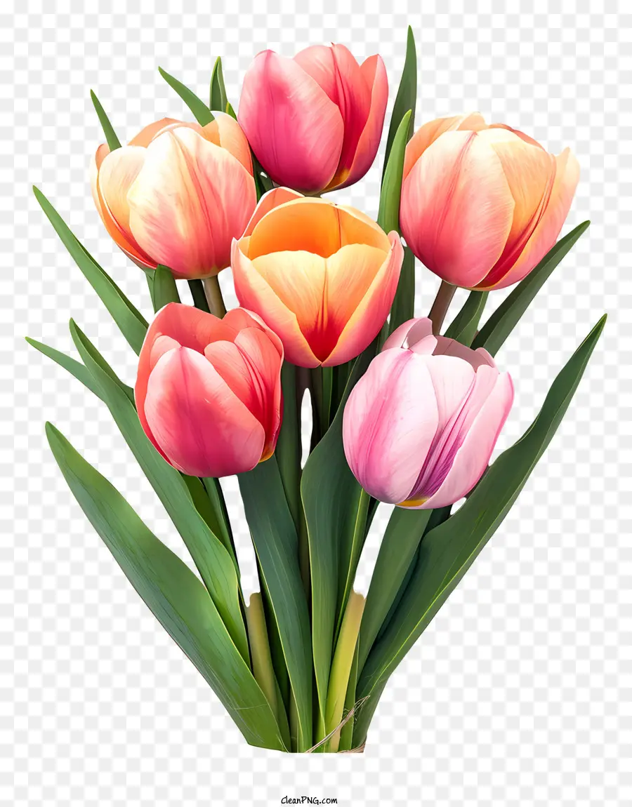 Ramo De Tulipanes Planos，Tulipanes PNG