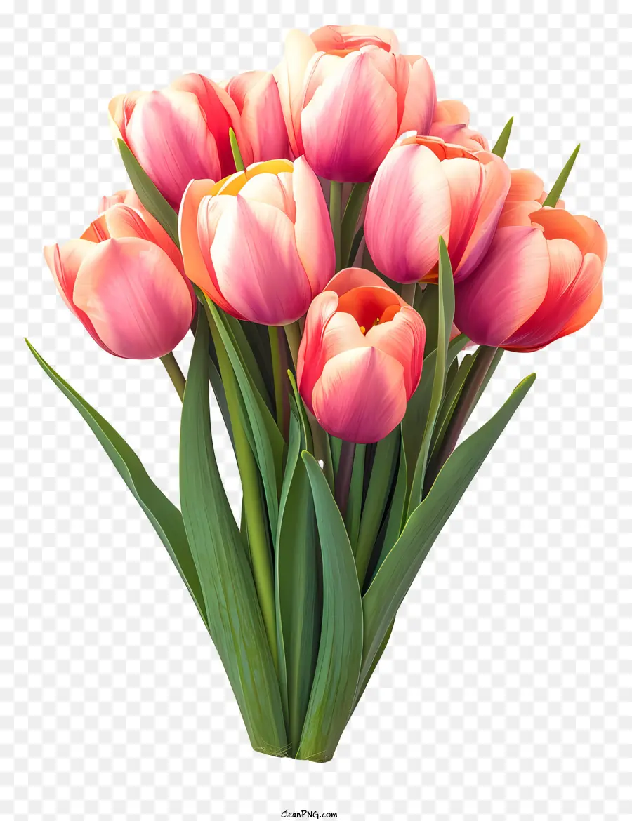 Ramo De Tulipanes Planos，Tulipanes PNG