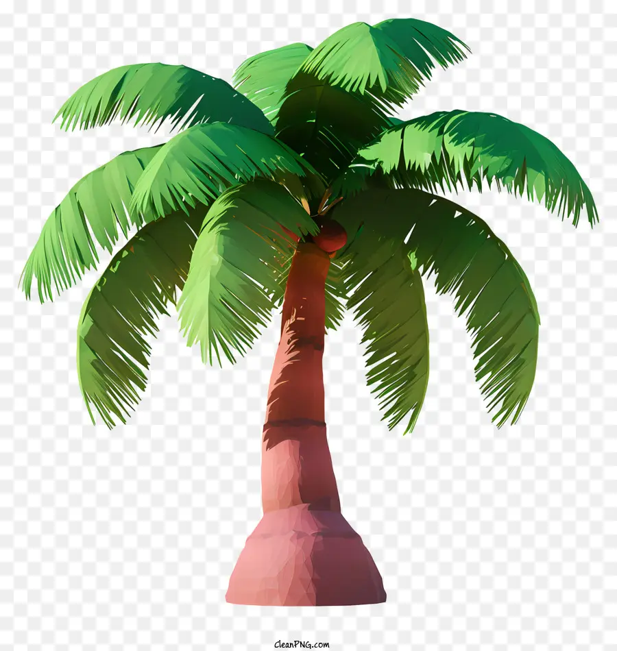 árbol De Coco De Estilo Realista，Palmera PNG