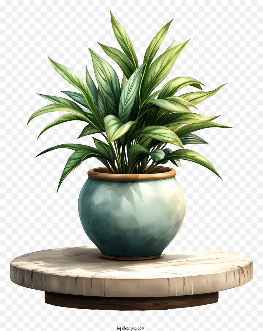 Planta，Planta Verde PNG