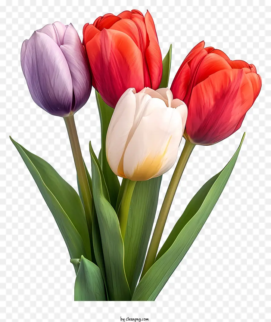 Bouquet De Estilo De Boceto，Coloridos Tulipanes PNG