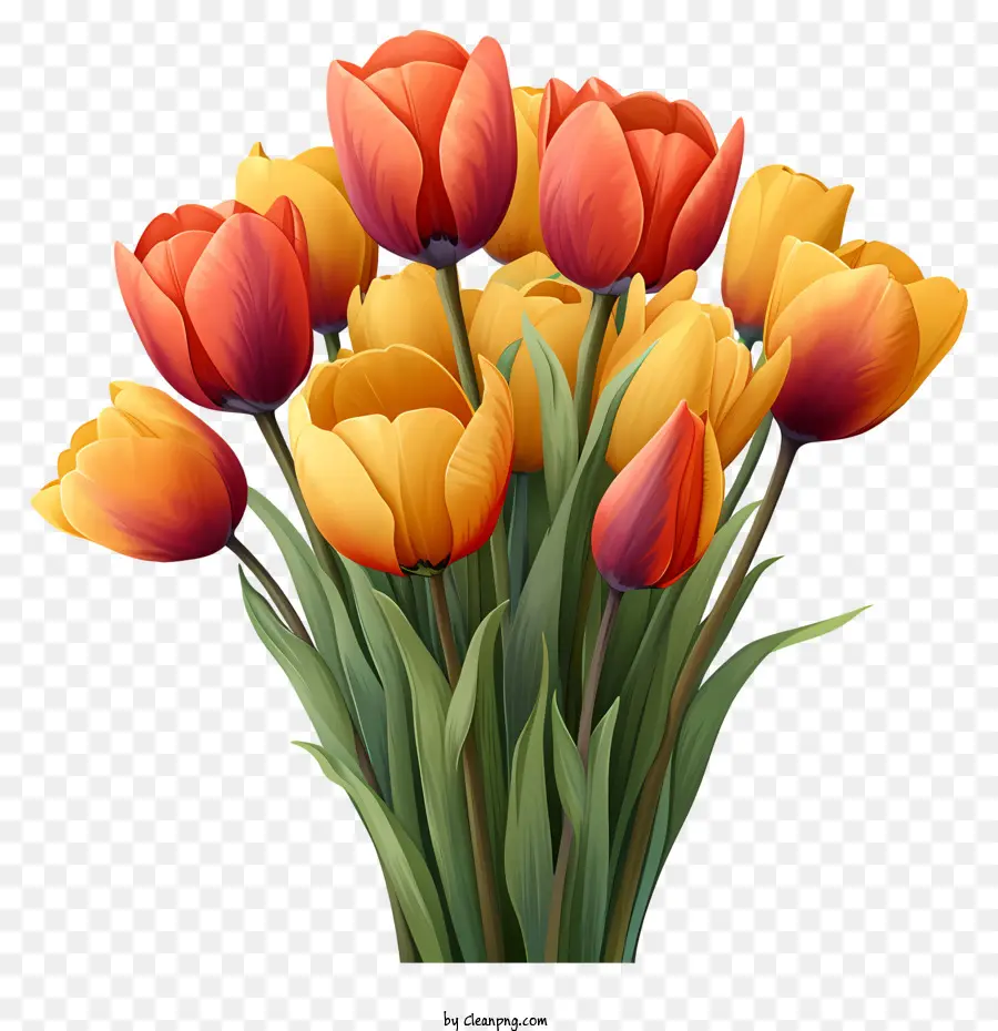 Bouquet De Tulipanes De Acuarela，Ramo PNG