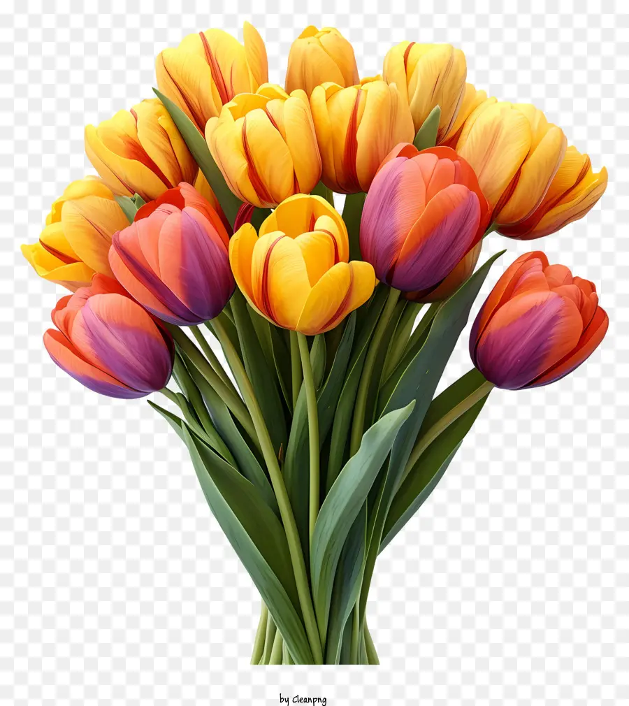 Bouquet De Tulipanes De Acuarela，Ramo PNG