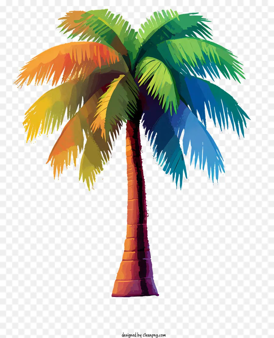 Pinturas Multicolores Coco Árbol，Palmera Colorida PNG