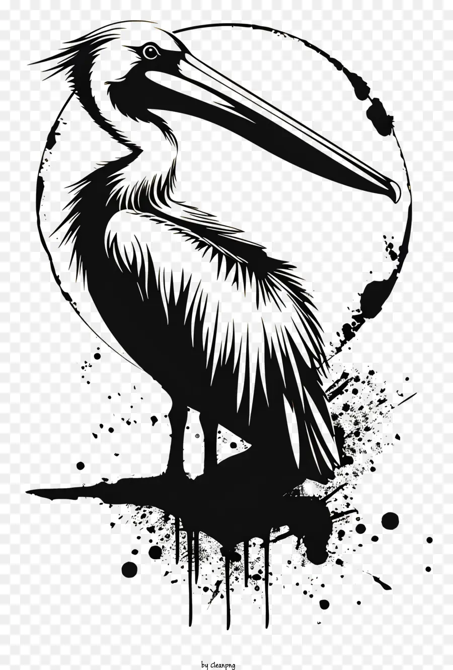 Pelican，Gaviota PNG