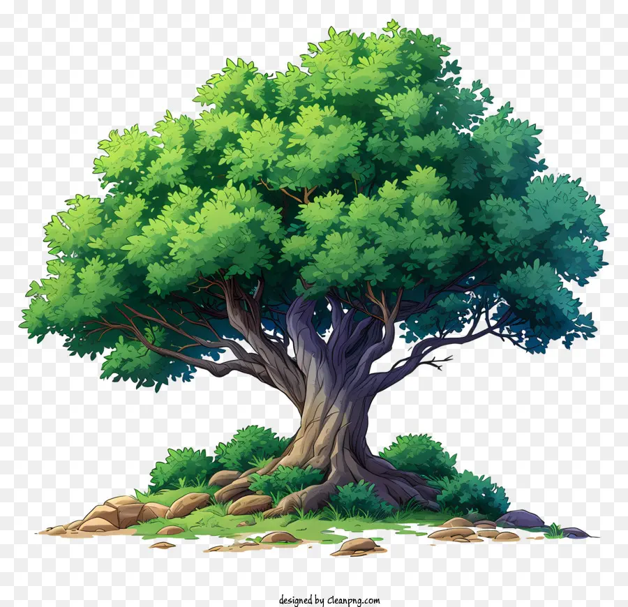 Árbol Plano，árbol De Roble PNG