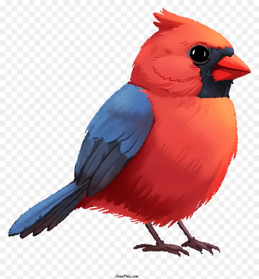 Pájaro De Estilo Dibujado A Mano，Pequeño Pájaro Rojo PNG