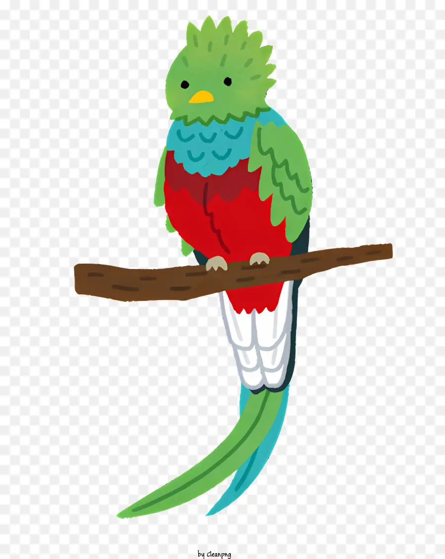 Aves，Dibujo PNG